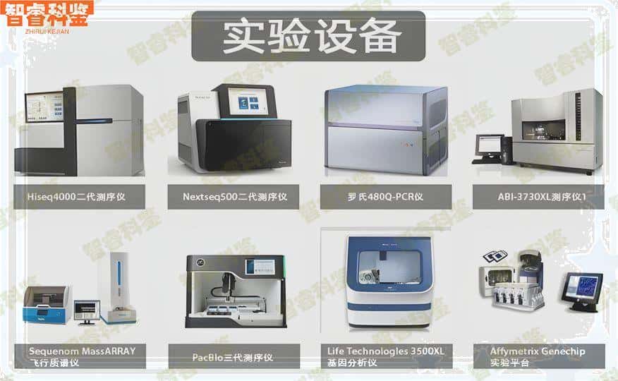 资阳市安岳县去哪家司法机构可以做死亡亲子鉴定,资阳市安岳县DNA亲子鉴定流程
