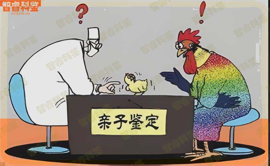 成都简阳市亲子鉴定
