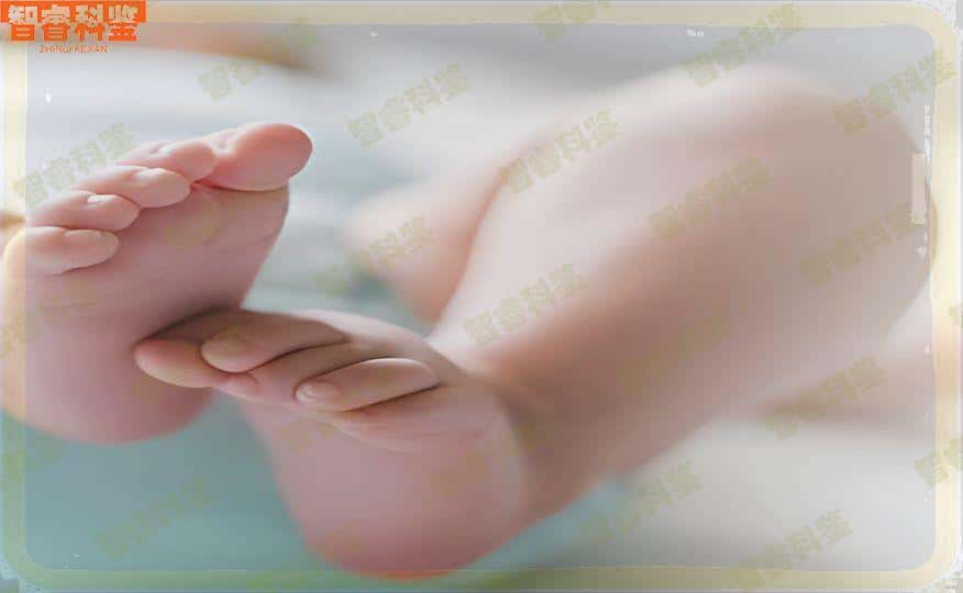 新疆能做亲子鉴定的医院吗