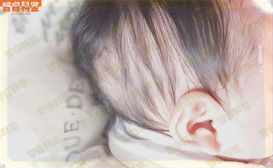精河隐私亲子鉴定的地方_智睿科鉴优鉴网