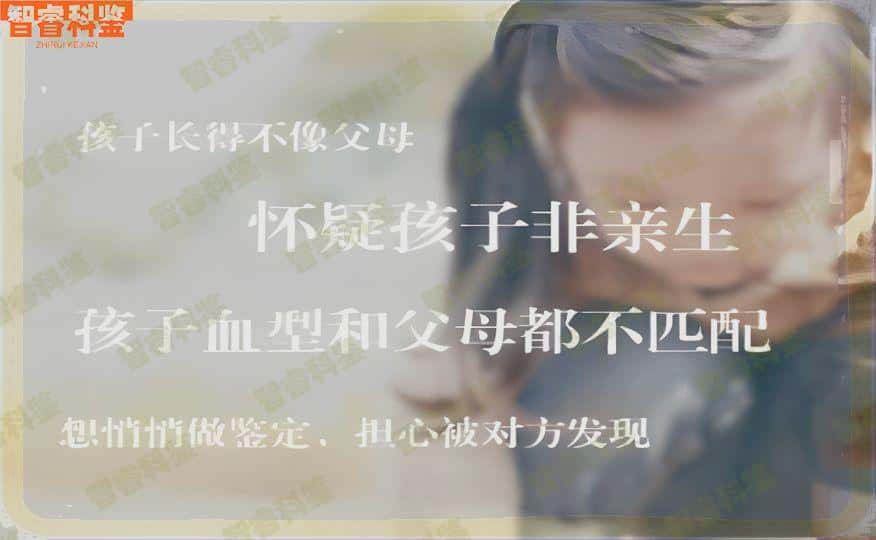 和田亲子鉴定机构去哪家