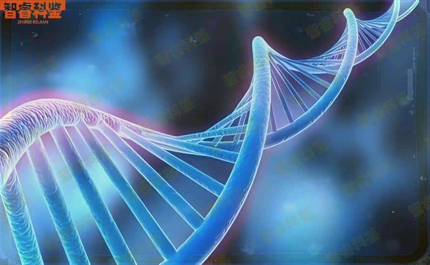 玉溪一医院可以做亲子鉴定吗,玉溪医院做亲子鉴定办理流程