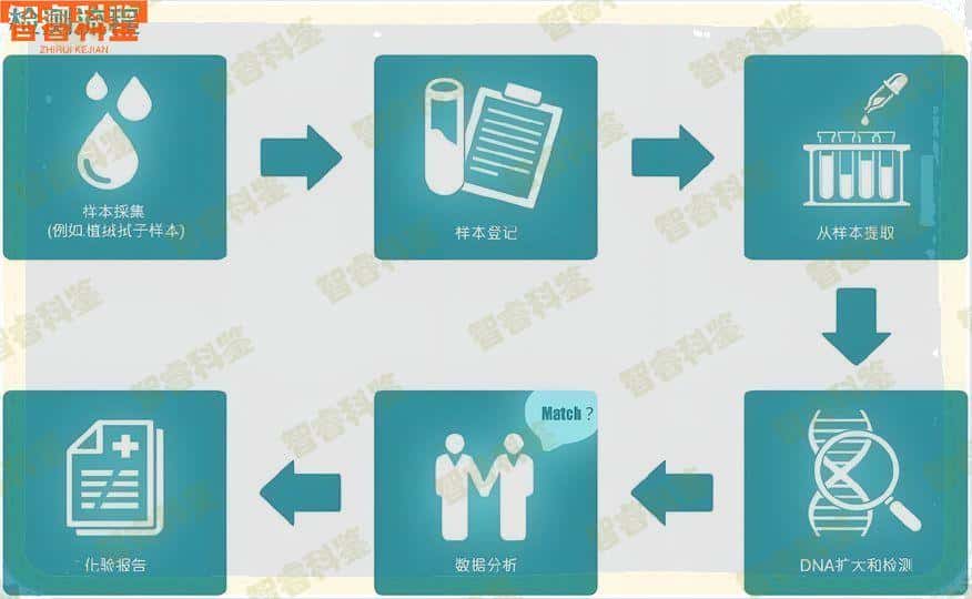 阿拉尔市亲子鉴定中心10家大全