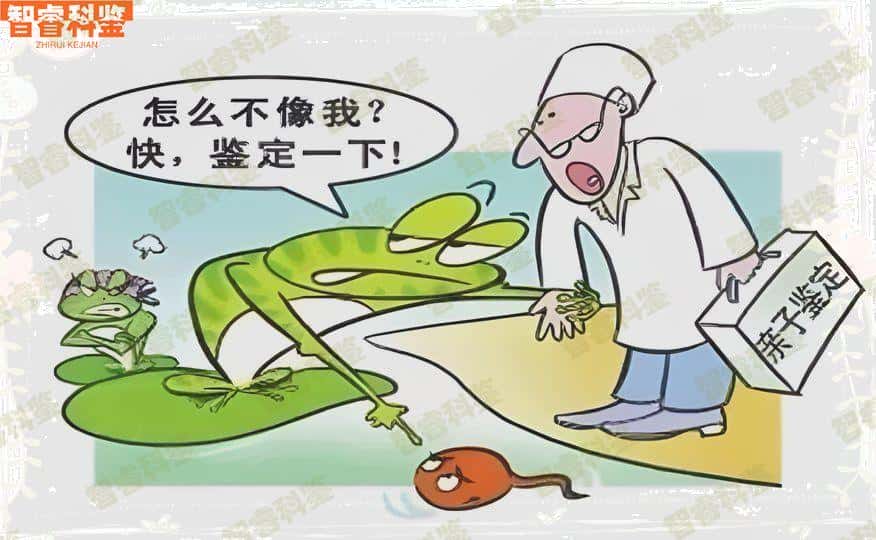 库尔勒市正规亲子鉴定机构一览