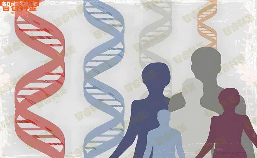 库尔勒市可以做个人亲子鉴定的12家中心大全