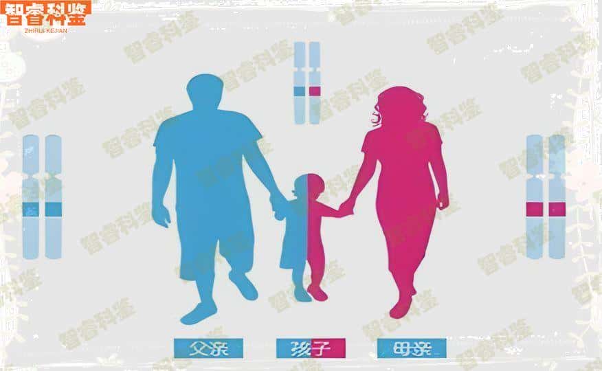 阿勒泰阿勒泰市亲子鉴定中心10家大全