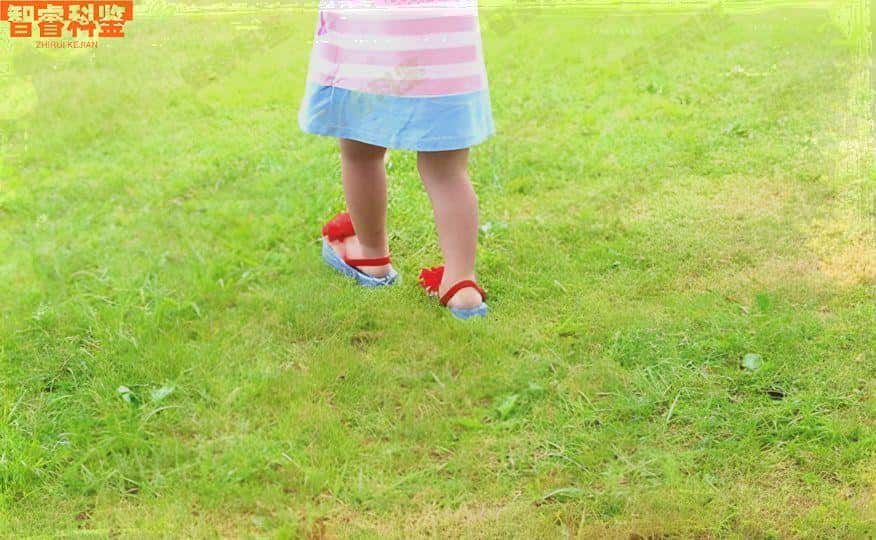 玉溪可以做亲子鉴定的正规机构一共15家