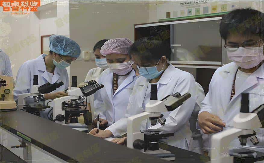 云南玉溪亲子鉴定机构排名,云南玉溪亲子鉴定中心哪家好?
