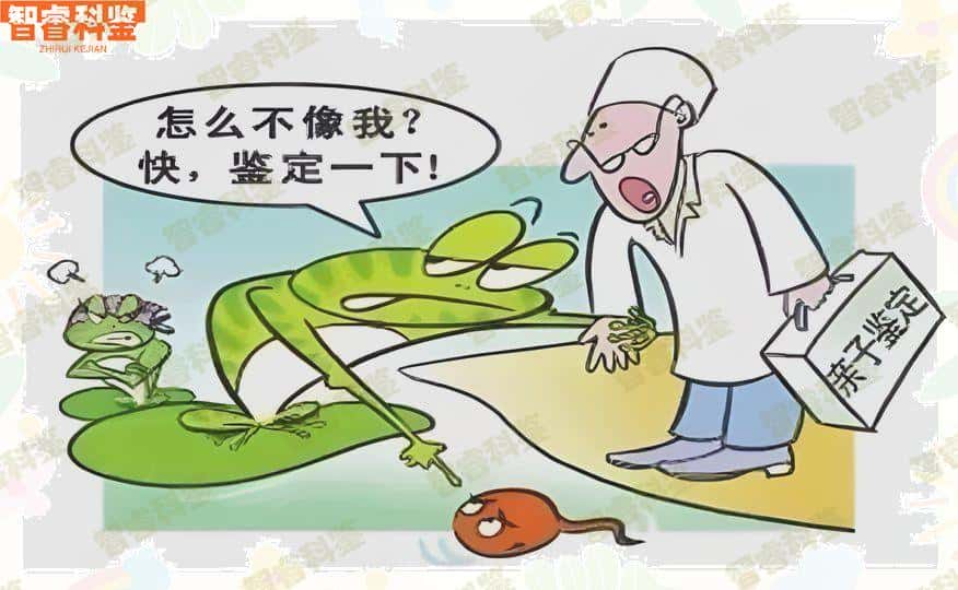 迪庆哪里做亲子鉴定,迪庆亲子鉴定如何办理