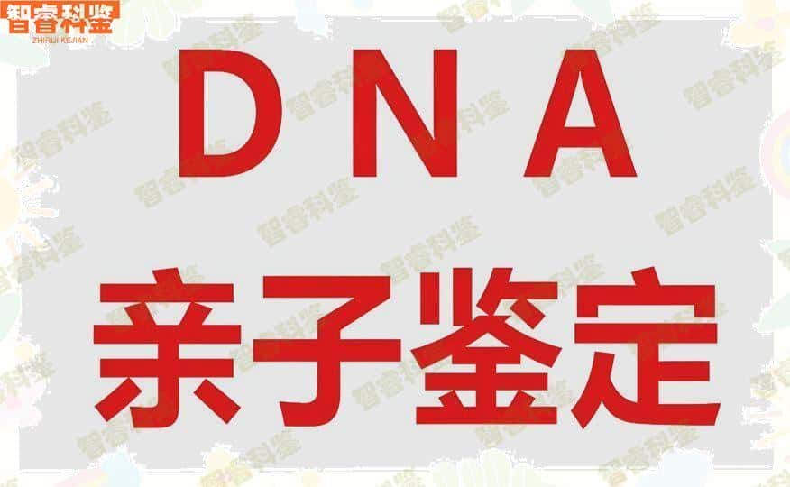 怒江亲子鉴定办理地址