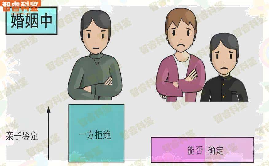 红河弥勒市正规个人亲子鉴定机构一览