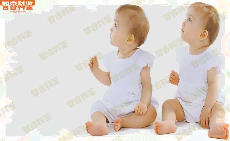 热点来袭