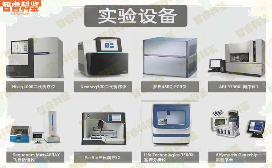 浙江7家正规亲子鉴定中心机构