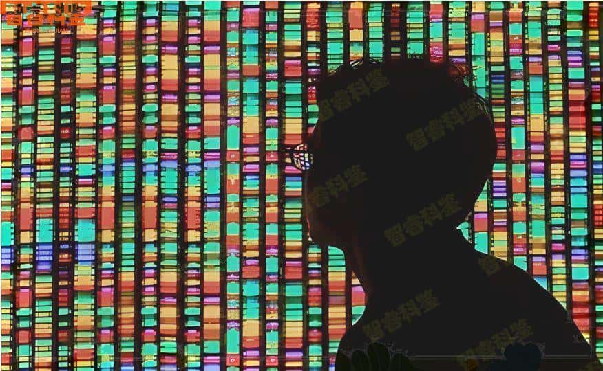 温州司法DNA亲子鉴定机构地址大全