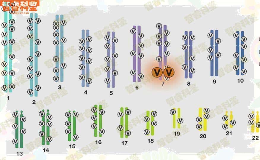 金华市10家亲子鉴定医院机构名单一览