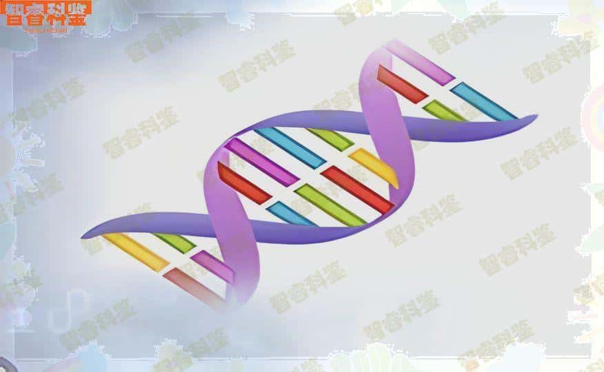 嘉兴15家个人亲子鉴定中心地址合集
