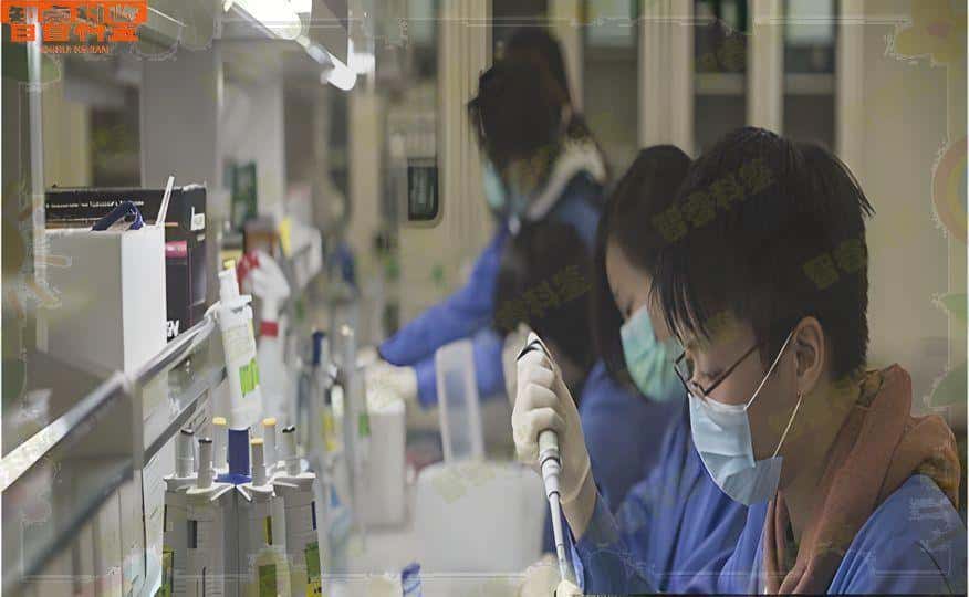 嘉兴市6家正规司法亲子鉴定中心机构地址名录