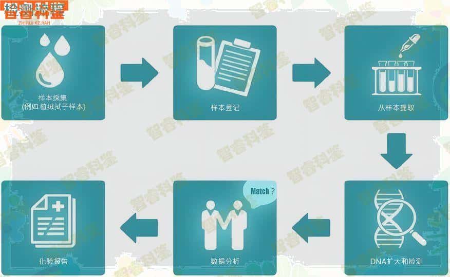 义乌市亲子鉴定中心在哪里，2023年5家正规亲子鉴定机构名录