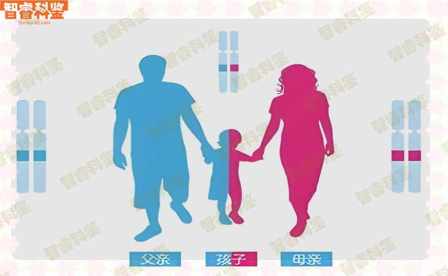 绍兴诸暨市可以做亲子鉴定的正规医院