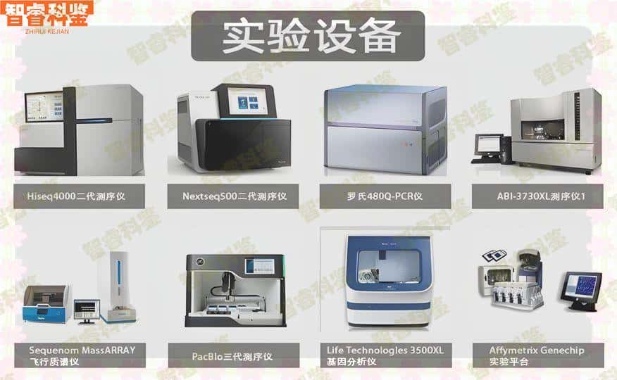 嘉兴市33家亲子鉴定机构地址一览/2023最新更新