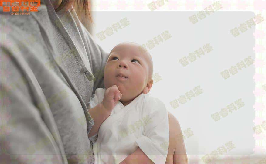湖州长兴县可以做亲子鉴定一览