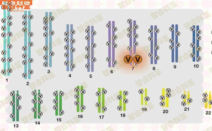 金华市亲子鉴定10家机构一览
