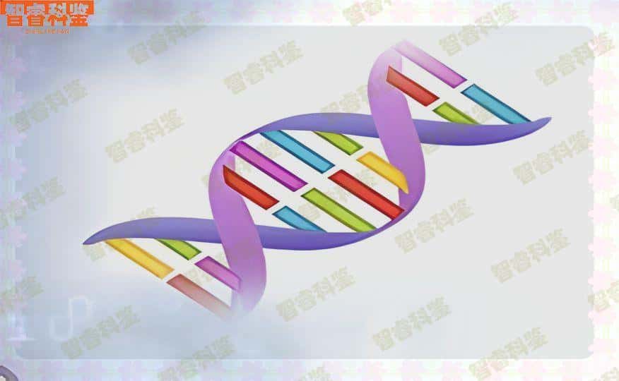 湖州可以做亲子鉴定的9个地方