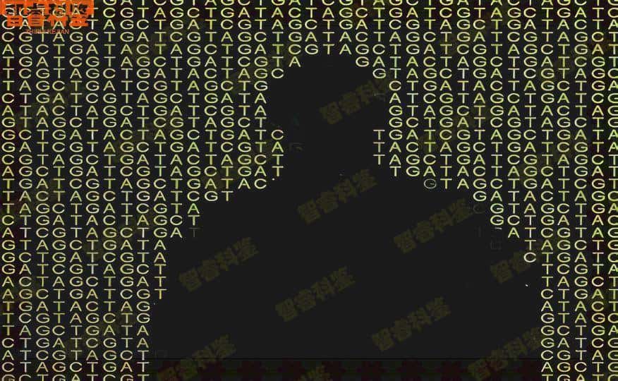 温州13家落户亲子鉴定中心大全