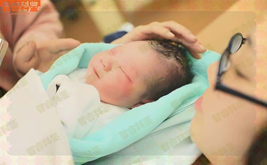 玉环个人亲子鉴定价格_鉴定百科网