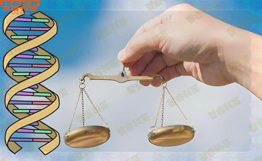 平湖市亲子鉴定机构查询官网