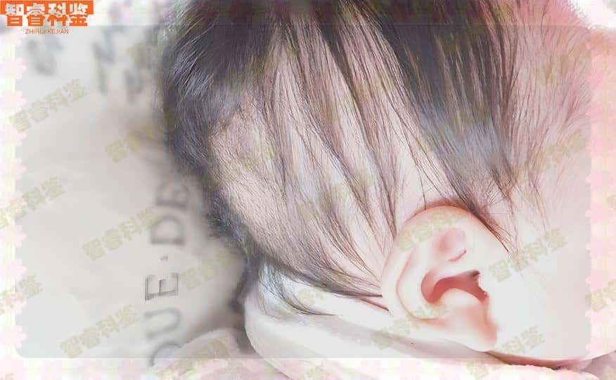 平湖15家个人亲子鉴定中心机构一览