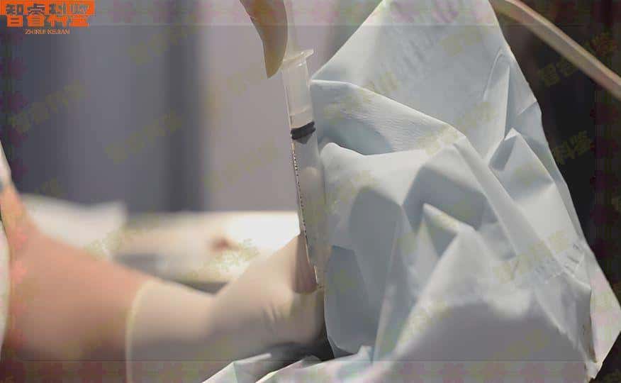平湖市十五所亲子鉴定机构一览