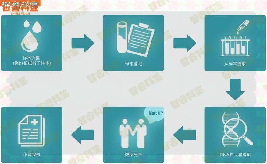 绍兴市越城区亲子鉴定地址一览/费用标准