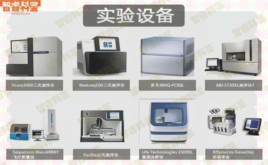 绍兴市新昌县亲子鉴定机构一览