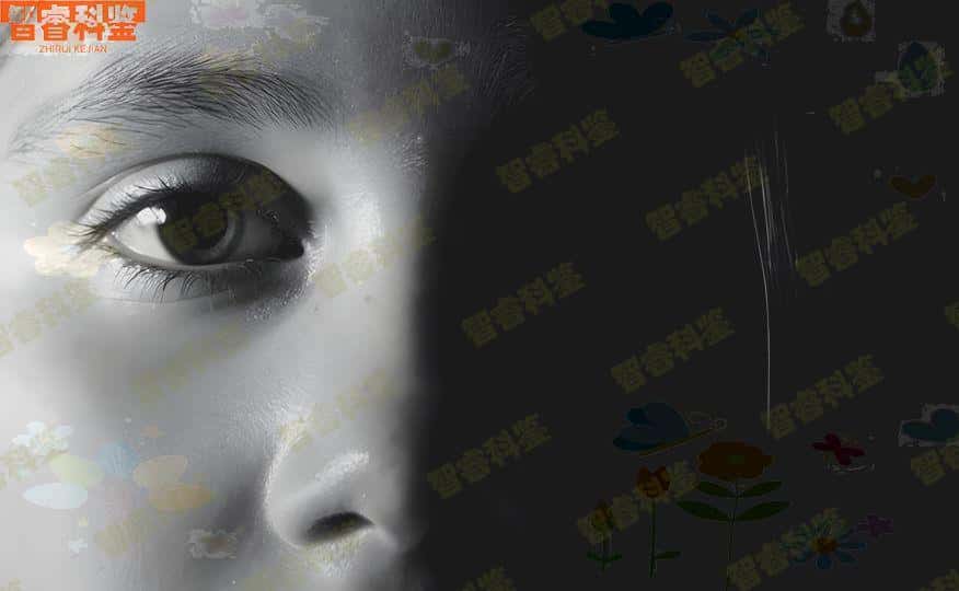 绍兴市孕期亲子鉴定收费标准