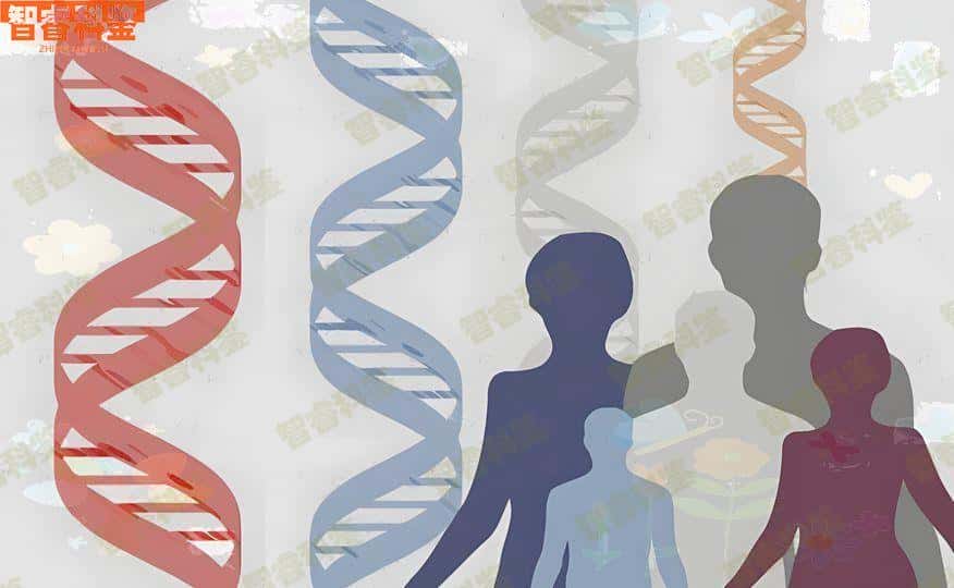 柯桥区父母子亲子鉴定有哪几种方法