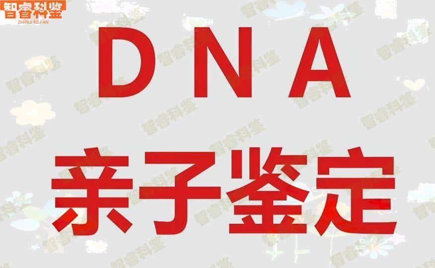 衢州江山市11家权威亲子鉴定中心大全