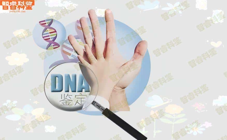 香港dna亲子鉴定的方法