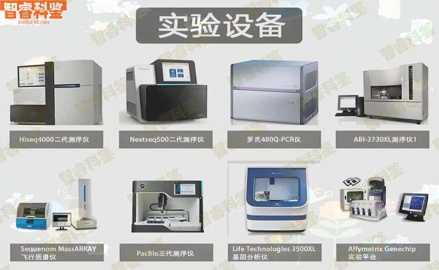 香港验血可以亲子鉴定吗