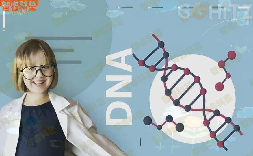澳门有dna亲子鉴定费用是多少