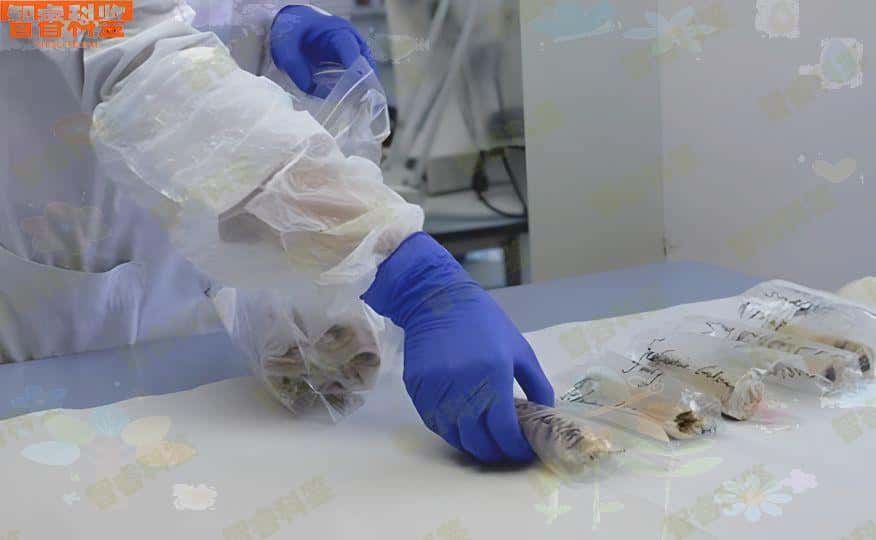 澳门亲子鉴定费用明细表