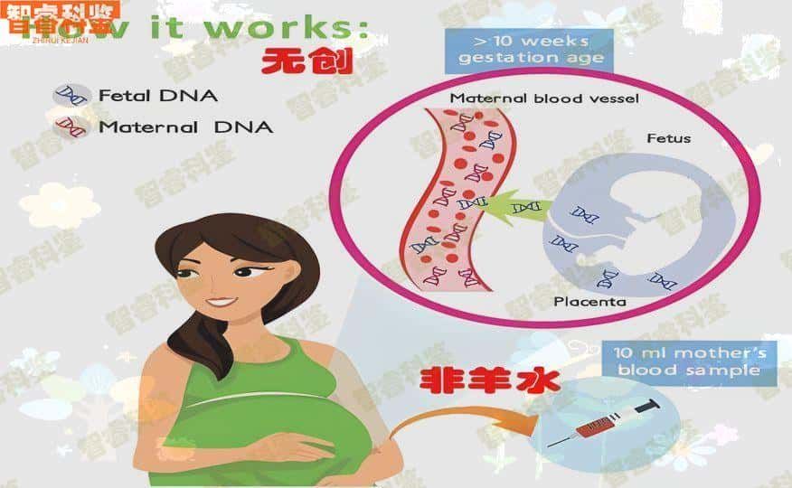 台北非婚生子亲子鉴定方法有哪些