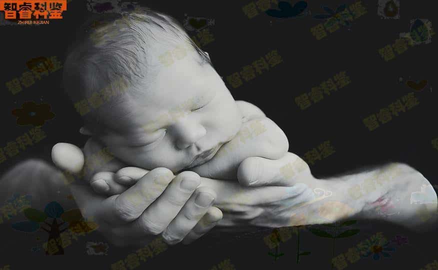 台北父母子亲子鉴定大概多少钱一次