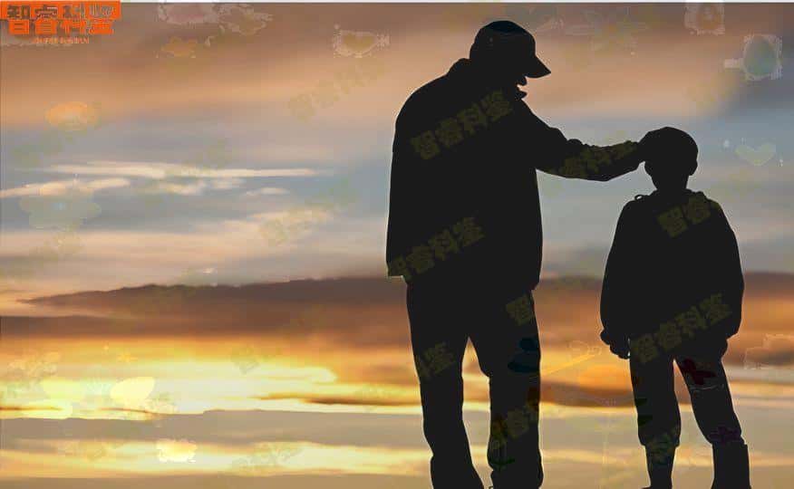 上海十大正规亲子鉴定机构地址一览