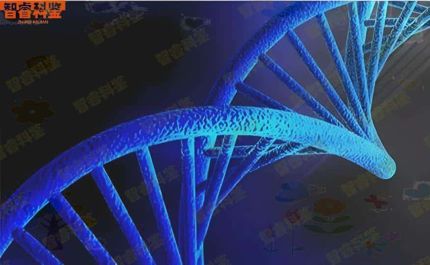 天津15家正规个人亲子鉴定中心地址